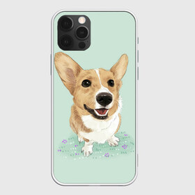 Чехол для iPhone 12 Pro Max с принтом КОРГИ в Тюмени, Силикон |  | animals | corgi | dogs | pets | puppies | queen | животные | корги | королева | песики | питомцы | собаки | щенки