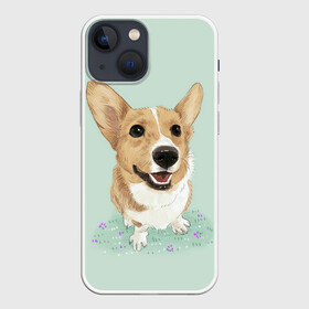 Чехол для iPhone 13 mini с принтом КОРГИ в Тюмени,  |  | animals | corgi | dogs | pets | puppies | queen | животные | корги | королева | песики | питомцы | собаки | щенки