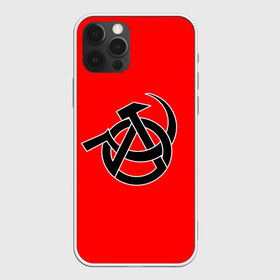 Чехол для iPhone 12 Pro Max с принтом Анархия в Тюмени, Силикон |  | Тематика изображения на принте: art | rock | sons of anarchy | анархия | арт | группа | егор летов | логотип | музыка | панк | панк рок | прикольная | рок | свобода | хаос