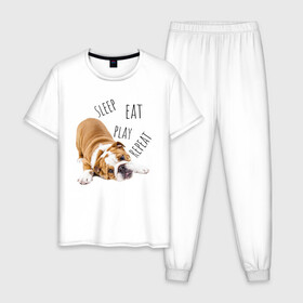 Мужская пижама хлопок с принтом Sleep Eat Play Repeat (Бульдог) в Тюмени, 100% хлопок | брюки и футболка прямого кроя, без карманов, на брюках мягкая резинка на поясе и по низу штанин
 | Тематика изображения на принте: bulldog | dog | puppy | sleep eat play repeat | английский бульдог | бульдог | бульдог английский | веселая собака | веселый щенок | игривый щенок | мысли с | мысли щенка | рыжая собака | рыжий щенок | собачья жизнь