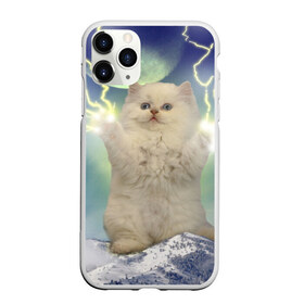 Чехол для iPhone 11 Pro Max матовый с принтом Грозовой Котик в Тюмени, Силикон |  | Тематика изображения на принте: cat | cats | memes | гроза | грозовой | грозовой кошак | животные | кот | котенок | котик | котята | кошак | кошка | мем | мемы | молнии | молния | прикол | прикольные