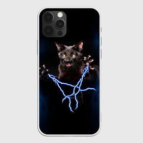 Чехол для iPhone 12 Pro с принтом Грозовой кошак(громовержец) в Тюмени, силикон | область печати: задняя сторона чехла, без боковых панелей | грозовой | громовержец | кот | кошак | молнии | разряды | черный