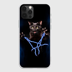 Чехол для iPhone 12 Pro Max с принтом Грозовой кошак(громовержец) в Тюмени, Силикон |  | грозовой | громовержец | кот | кошак | молнии | разряды | черный