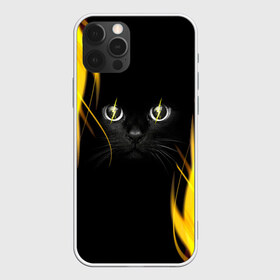 Чехол для iPhone 12 Pro Max с принтом Грозовой кошак в Тюмени, Силикон |  | Тематика изображения на принте: глаза | грозовой | кот | кошак | молнии | пламя | разряды | черный