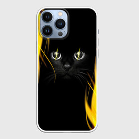 Чехол для iPhone 13 Pro Max с принтом Грозовой кошак в Тюмени,  |  | глаза | грозовой | кот | кошак | молнии | пламя | разряды | черный