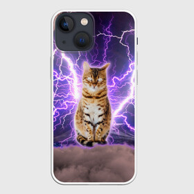 Чехол для iPhone 13 mini с принтом Котушка Теслы в Тюмени,  |  | cat | lightning | lightning cat | tesla | арт с котом | грозовой кошак | катушка теслы | кот | кот мем | котейка | котушка теслы | котяра | кошак | кошка | мем с котом | молнии | тесла