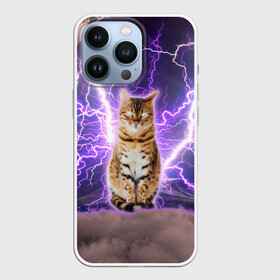 Чехол для iPhone 13 Pro с принтом Котушка Теслы в Тюмени,  |  | cat | lightning | lightning cat | tesla | арт с котом | грозовой кошак | катушка теслы | кот | кот мем | котейка | котушка теслы | котяра | кошак | кошка | мем с котом | молнии | тесла