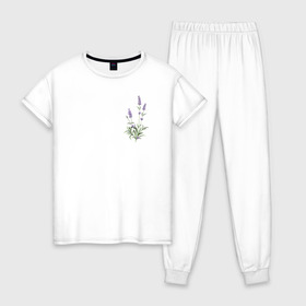Женская пижама хлопок с принтом Lavanda в Тюмени, 100% хлопок | брюки и футболка прямого кроя, без карманов, на брюках мягкая резинка на поясе и по низу штанин | лаванда | лавандовые цветы | милота | нежность | цветочки | цветы