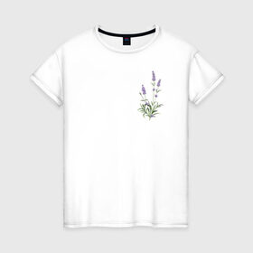Женская футболка хлопок с принтом Lavanda в Тюмени, 100% хлопок | прямой крой, круглый вырез горловины, длина до линии бедер, слегка спущенное плечо | Тематика изображения на принте: лаванда | лавандовые цветы | милота | нежность | цветочки | цветы