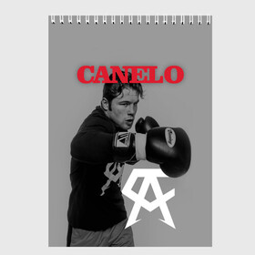 Скетчбук с принтом Canelo в Тюмени, 100% бумага
 | 48 листов, плотность листов — 100 г/м2, плотность картонной обложки — 250 г/м2. Листы скреплены сверху удобной пружинной спиралью | 