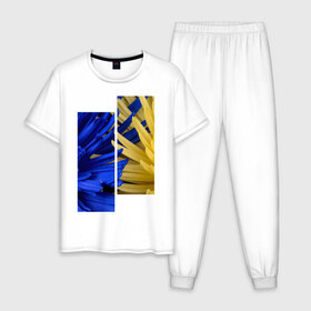 Мужская пижама хлопок с принтом Украинский акцент в Тюмени, 100% хлопок | брюки и футболка прямого кроя, без карманов, на брюках мягкая резинка на поясе и по низу штанин
 | жёлтый | намёк | пионы | синий | украина | украинский флаг | флаг | цвет | цвет флага | цветы