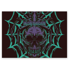 Поздравительная открытка с принтом Iron Maiden в Тюмени, 100% бумага | плотность бумаги 280 г/м2, матовая, на обратной стороне линовка и место для марки
 | 80s | hardrock | heavy | iron | maiden | metal | pop | steve harris | the final frontier | uk | айрон | группа | железная дева | метал | мэйден | хеви
