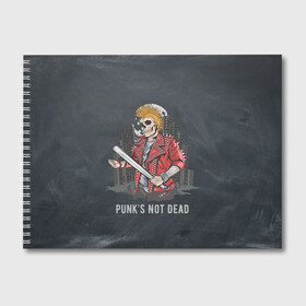Альбом для рисования с принтом Punk’s Not Dead в Тюмени, 100% бумага
 | матовая бумага, плотность 200 мг. | punk | punks | punk’s not dead | rock | rocker | метал | металл | панк | панки | рок | рокер | тяжелая музыка
