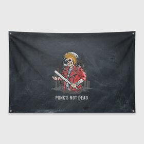 Флаг-баннер с принтом Punk’s Not Dead в Тюмени, 100% полиэстер | размер 67 х 109 см, плотность ткани — 95 г/м2; по краям флага есть четыре люверса для крепления | punk | punks | punk’s not dead | rock | rocker | метал | металл | панк | панки | рок | рокер | тяжелая музыка
