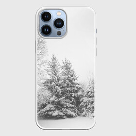 Чехол для iPhone 13 Pro Max с принтом Winter Storm в Тюмени,  |  | winter | белый | деревья | ели | ель | заснеженный | зима | зимний | искусство | лес | природа | снег | снежная | текстура | текстуры | шторм