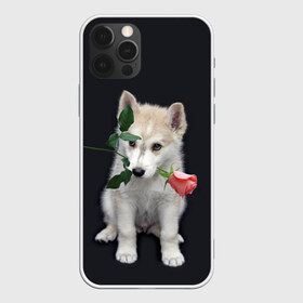 Чехол для iPhone 12 Pro Max с принтом Щенок в подарок в Тюмени, Силикон |  | 8 марта щенок | husky | siberian husky | белый щенок | лайка | собака на день рождения | собака с розой | собака с цветком | хаски | щенок | щенок 8 марта | щенок лайки | щенок на 8 марта | щенок на день рождения