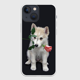 Чехол для iPhone 13 mini с принтом Щенок в подарок в Тюмени,  |  | 8 марта щенок | husky | siberian husky | белый щенок | лайка | собака на день рождения | собака с розой | собака с цветком | хаски | щенок | щенок 8 марта | щенок лайки | щенок на 8 марта | щенок на день рождения
