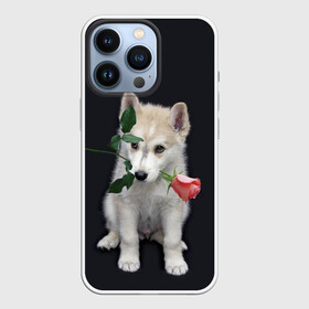 Чехол для iPhone 13 Pro с принтом Щенок в подарок в Тюмени,  |  | 8 марта щенок | husky | siberian husky | белый щенок | лайка | собака на день рождения | собака с розой | собака с цветком | хаски | щенок | щенок 8 марта | щенок лайки | щенок на 8 марта | щенок на день рождения