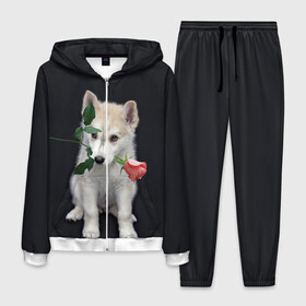Мужской костюм 3D с принтом Щенок в подарок в Тюмени, 100% полиэстер | Манжеты и пояс оформлены тканевой резинкой, двухслойный капюшон со шнурком для регулировки, карманы спереди | 8 марта щенок | husky | siberian husky | белый щенок | лайка | собака на день рождения | собака с розой | собака с цветком | хаски | щенок | щенок 8 марта | щенок лайки | щенок на 8 марта | щенок на день рождения