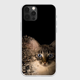 Чехол для iPhone 12 Pro Max с принтом Disintegrating Cat в Тюмени, Силикон |  | Тематика изображения на принте: cat | азулес | атомный кот | голубоглазая кошка | голубоглазый кот | голубоглазый котик | кот | кот к | кот распадающийся на атомы | кот с голубыми глазами | котик | котэ | кошак | кошачий портрет