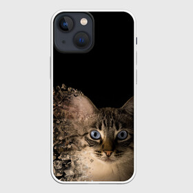 Чехол для iPhone 13 mini с принтом Disintegrating Cat в Тюмени,  |  | cat | азулес | атомный кот | голубоглазая кошка | голубоглазый кот | голубоглазый котик | кот | кот к | кот распадающийся на атомы | кот с голубыми глазами | котик | котэ | кошак | кошачий портрет