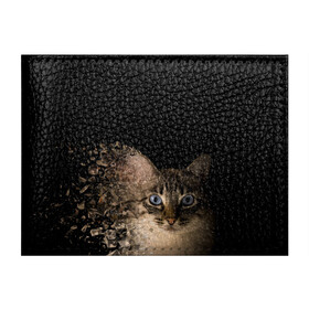 Обложка для студенческого билета с принтом Disintegrating Cat в Тюмени, натуральная кожа | Размер: 11*8 см; Печать на всей внешней стороне | cat | азулес | атомный кот | голубоглазая кошка | голубоглазый кот | голубоглазый котик | кот | кот к | кот распадающийся на атомы | кот с голубыми глазами | котик | котэ | кошак | кошачий портрет