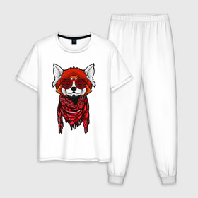Мужская пижама хлопок с принтом Красная панда в Тюмени, 100% хлопок | брюки и футболка прямого кроя, без карманов, на брюках мягкая резинка на поясе и по низу штанин
 | cool | cute | fashion | panda | red | в очках | забавная | красная | крутая | милая | модная | очки | панда | пандарен | пандочка | пандочки | панды | смешная | солнечные очки | улыбается
