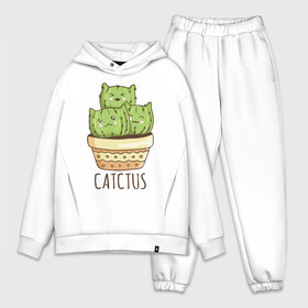 Мужской костюм хлопок OVERSIZE с принтом Catctus в Тюмени,  |  | art | cactus | cats | kittens | pot | арт | горшок | кактус | коты | котята | кошки