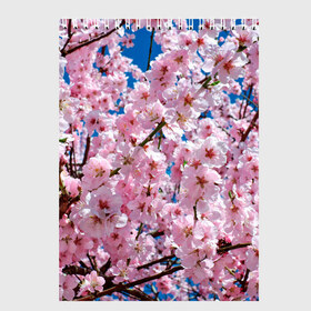 Скетчбук с принтом Цветущая Сакура в Тюмени, 100% бумага
 | 48 листов, плотность листов — 100 г/м2, плотность картонной обложки — 250 г/м2. Листы скреплены сверху удобной пружинной спиралью | 8 марта | весна | вишня | женский день | лепестки | март | поздравления | праздник 8 марта | ромашки | сакура | цветок | цветочки | цветы | япония