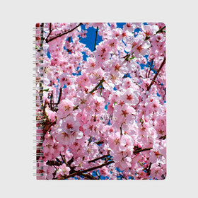 Тетрадь с принтом Цветущая Сакура в Тюмени, 100% бумага | 48 листов, плотность листов — 60 г/м2, плотность картонной обложки — 250 г/м2. Листы скреплены сбоку удобной пружинной спиралью. Уголки страниц и обложки скругленные. Цвет линий — светло-серый
 | 8 марта | весна | вишня | женский день | лепестки | март | поздравления | праздник 8 марта | ромашки | сакура | цветок | цветочки | цветы | япония