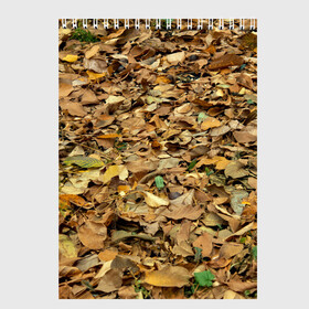 Скетчбук с принтом Листья в Тюмени, 100% бумага
 | 48 листов, плотность листов — 100 г/м2, плотность картонной обложки — 250 г/м2. Листы скреплены сверху удобной пружинной спиралью | Тематика изображения на принте: земпля | искусство | лето | листва | листья | осень | природа | сухая | текстура | текстуры