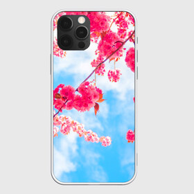 Чехол для iPhone 12 Pro Max с принтом Цветение Вишни в Тюмени, Силикон |  | Тематика изображения на принте: flowers | pink | бутоны | весна | вишня | дерево | листья | небо | облака | природа | розовый | сакура | солнце | цветение | цветочки | цветы