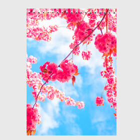 Скетчбук с принтом Цветение Вишни в Тюмени, 100% бумага
 | 48 листов, плотность листов — 100 г/м2, плотность картонной обложки — 250 г/м2. Листы скреплены сверху удобной пружинной спиралью | flowers | pink | бутоны | весна | вишня | дерево | листья | небо | облака | природа | розовый | сакура | солнце | цветение | цветочки | цветы