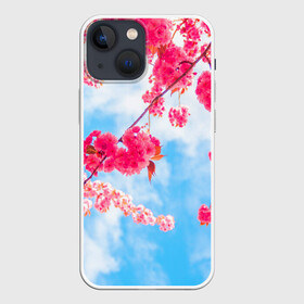 Чехол для iPhone 13 mini с принтом Цветение Вишни в Тюмени,  |  | flowers | pink | бутоны | весна | вишня | дерево | листья | небо | облака | природа | розовый | сакура | солнце | цветение | цветочки | цветы