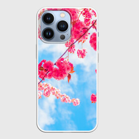 Чехол для iPhone 13 Pro с принтом Цветение Вишни в Тюмени,  |  | Тематика изображения на принте: flowers | pink | бутоны | весна | вишня | дерево | листья | небо | облака | природа | розовый | сакура | солнце | цветение | цветочки | цветы