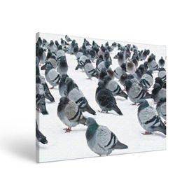 Холст прямоугольный с принтом Голуби в Тюмени, 100% ПВХ |  | bird | pigeon | russia | snow | winter | голубь | животные | зима | курлык | птицы | россия | снег | текстура | фон | фотография