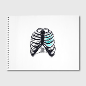Альбом для рисования с принтом X-Ray в Тюмени, 100% бумага
 | матовая бумага, плотность 200 мг. | Тематика изображения на принте: bone | bones | chest | heart | hearts | love | organ | organs | ribs | skeleton | x ray | грудная клетка | кости | кость | орган | органы | ребра | рентген | сердца | сердце | скелет
