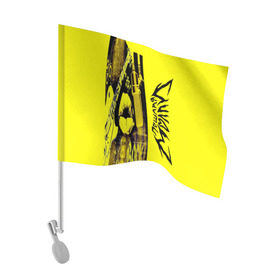 Флаг для автомобиля с принтом  Пошлая Молли в Тюмени, 100% полиэстер | Размер: 30*21 см | абстракция | мода | музыка | надпись | пошлая молли | рок