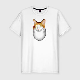 Мужская футболка премиум с принтом ГНЕГ в Тюмени, 92% хлопок, 8% лайкра | приталенный силуэт, круглый вырез ворота, длина до линии бедра, короткий рукав | Тематика изображения на принте: гнег | ирония | котэ | мем | мемы про котов | мета | постирония | прикол | ржака