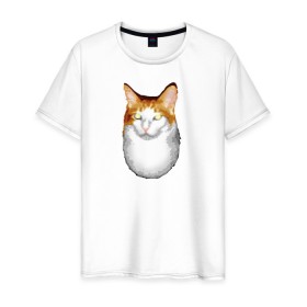 Мужская футболка хлопок с принтом ГНЕГ в Тюмени, 100% хлопок | прямой крой, круглый вырез горловины, длина до линии бедер, слегка спущенное плечо. | Тематика изображения на принте: гнег | ирония | котэ | мем | мемы про котов | мета | постирония | прикол | ржака