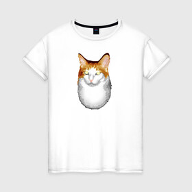Женская футболка хлопок с принтом ГНЕГ в Тюмени, 100% хлопок | прямой крой, круглый вырез горловины, длина до линии бедер, слегка спущенное плечо | гнег | ирония | котэ | мем | мемы про котов | мета | постирония | прикол | ржака