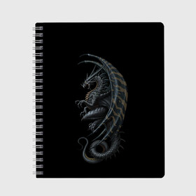 Тетрадь с принтом Black Dragon в Тюмени, 100% бумага | 48 листов, плотность листов — 60 г/м2, плотность картонной обложки — 250 г/м2. Листы скреплены сбоку удобной пружинной спиралью. Уголки страниц и обложки скругленные. Цвет линий — светло-серый
 | Тематика изображения на принте: beast | dinosaur | dragon | fire | hunter | ice | monster | predator | reptile | динозавр | дракон | зверь | лед | ледяной | монстр | огненный | огонь | охотник | хищник