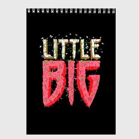 Скетчбук с принтом Little Big в Тюмени, 100% бумага
 | 48 листов, плотность листов — 100 г/м2, плотность картонной обложки — 250 г/м2. Листы скреплены сверху удобной пружинной спиралью | Тематика изображения на принте: 20 | 2020 | big | eurovision | little | music | биг | бузова | евровидение | ильич | литл | музыка