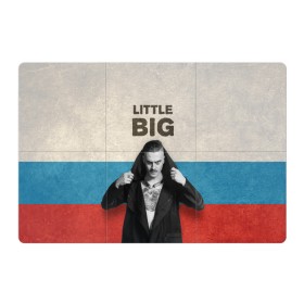 Магнитный плакат 3Х2 с принтом Little Big в Тюмени, Полимерный материал с магнитным слоем | 6 деталей размером 9*9 см | little big | евровидение