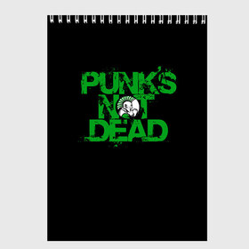 Скетчбук с принтом Punks Not Dead в Тюмени, 100% бумага
 | 48 листов, плотность листов — 100 г/м2, плотность картонной обложки — 250 г/м2. Листы скреплены сверху удобной пружинной спиралью | art | punk | punks not dead | rock | sons of anarchy | анархия | арт | группа | егор летов | логотип | музыка | надпись | панк | панк рок | прикольная | рок | свобода | хаос
