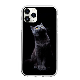 Чехол для iPhone 11 Pro Max матовый с принтом Кот Британец в Тюмени, Силикон |  | animal | animals | beast | black | cat | kitten | британец | британка | животное | животные | зверек | зверь | кот | котейка | котенок | котики | котэ | кошка | кошки | черная