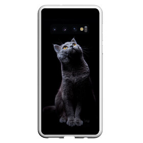 Чехол для Samsung Galaxy S10 с принтом Кот Британец в Тюмени, Силикон | Область печати: задняя сторона чехла, без боковых панелей | Тематика изображения на принте: animal | animals | beast | black | cat | kitten | британец | британка | животное | животные | зверек | зверь | кот | котейка | котенок | котики | котэ | кошка | кошки | черная