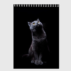 Скетчбук с принтом Кот Британец в Тюмени, 100% бумага
 | 48 листов, плотность листов — 100 г/м2, плотность картонной обложки — 250 г/м2. Листы скреплены сверху удобной пружинной спиралью | animal | animals | beast | black | cat | kitten | британец | британка | животное | животные | зверек | зверь | кот | котейка | котенок | котики | котэ | кошка | кошки | черная
