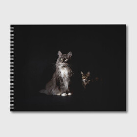 Альбом для рисования с принтом Котики в Тюмени, 100% бумага
 | матовая бумага, плотность 200 мг. | Тематика изображения на принте: animal | animals | beast | black | cat | kitten | животное | животные | зверек | зверь | кот | котейка | котенок | котики | котэ | кошка | кошки | мейн кун | черная