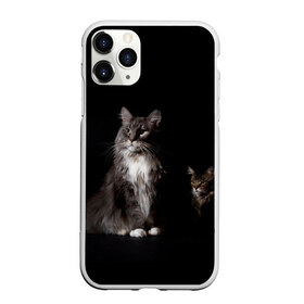 Чехол для iPhone 11 Pro матовый с принтом Котики в Тюмени, Силикон |  | animal | animals | beast | black | cat | kitten | животное | животные | зверек | зверь | кот | котейка | котенок | котики | котэ | кошка | кошки | мейн кун | черная